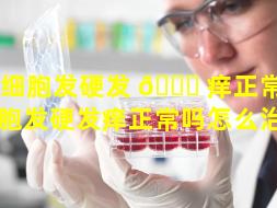 干细胞发硬发 🍁 痒正常吗（干细胞发硬发痒正常吗怎么治疗）